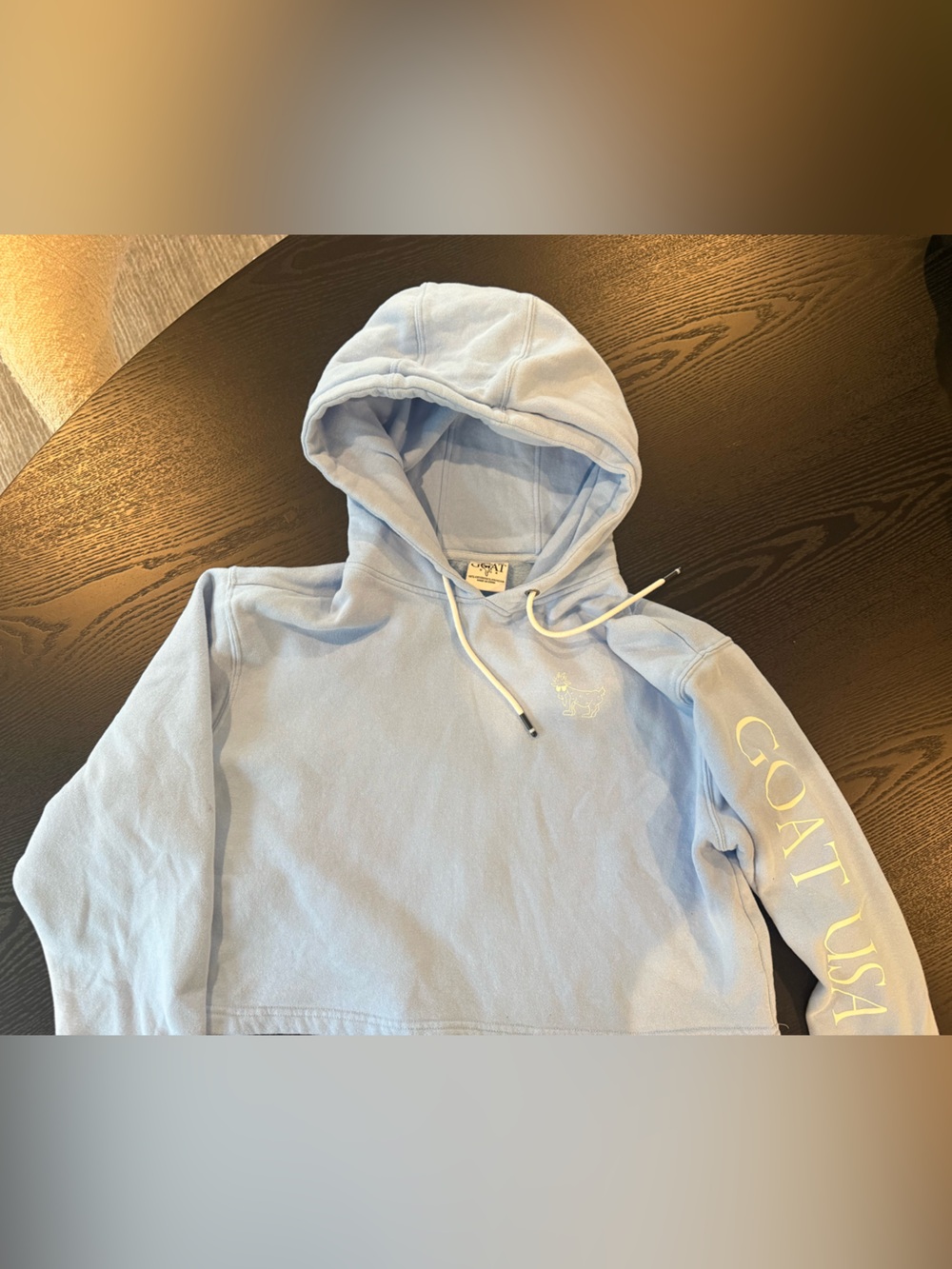 GOAT USA Light Blue Kids Hoodie Sweatshirt